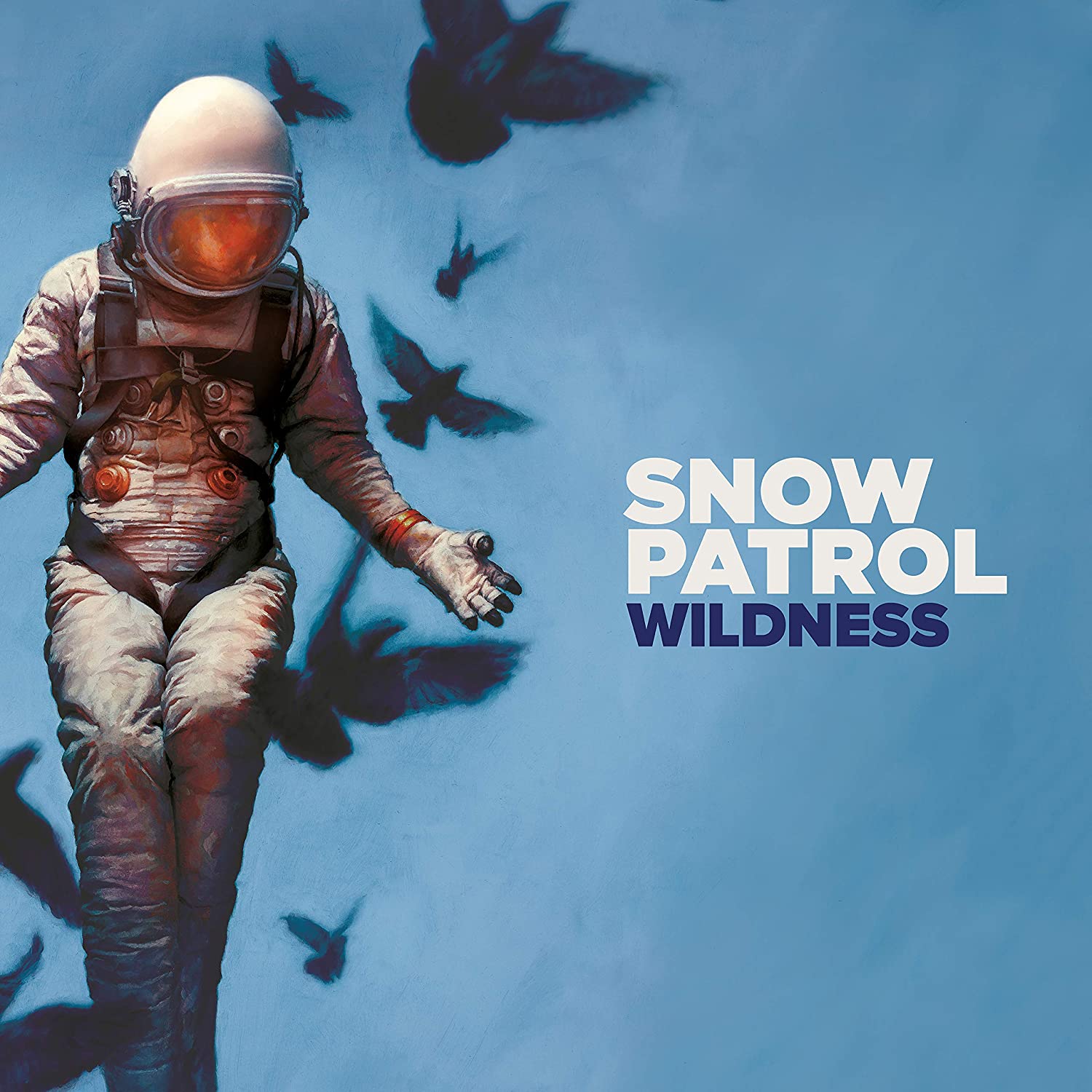 Snow Patrol - Wildness, 2LP, vinila plates, 12&quot; color vinyl record - white and blue vinyl