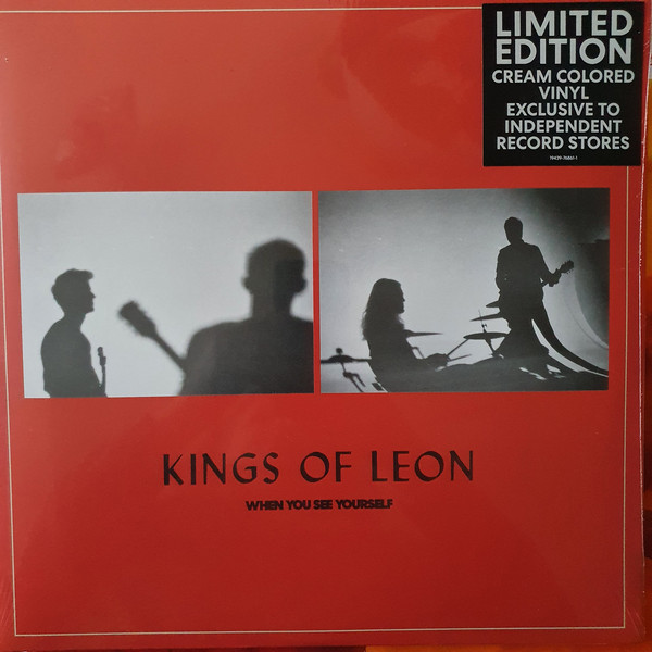 Kings Of Leon - When You See Yourself, 2LP, vinila plate, 12&quot; vinyl record